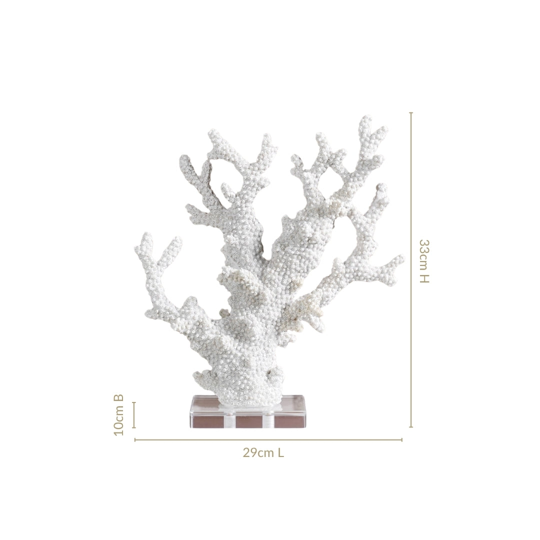 Coral Reef Coffee Table Decor
