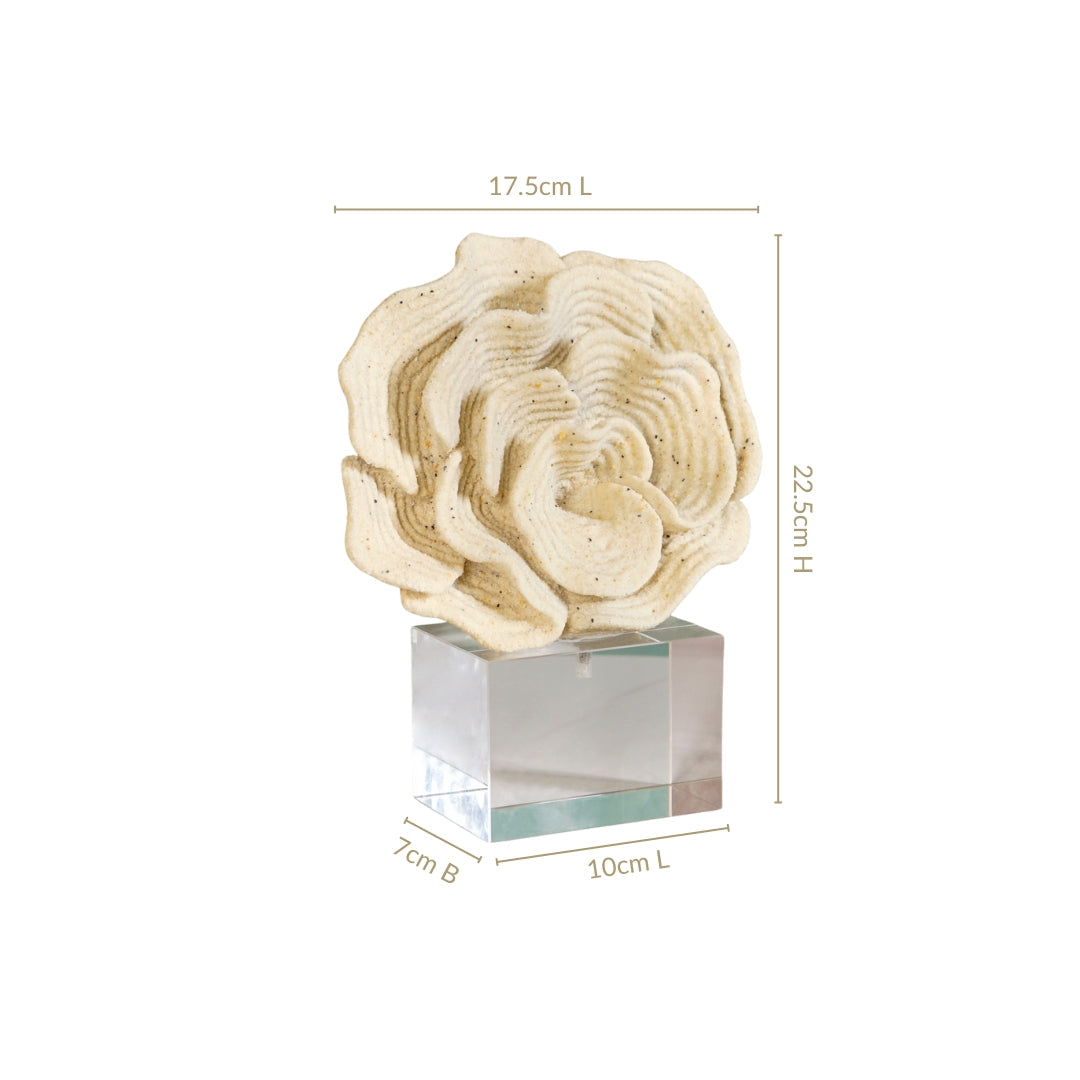 Coral Reef Decor
