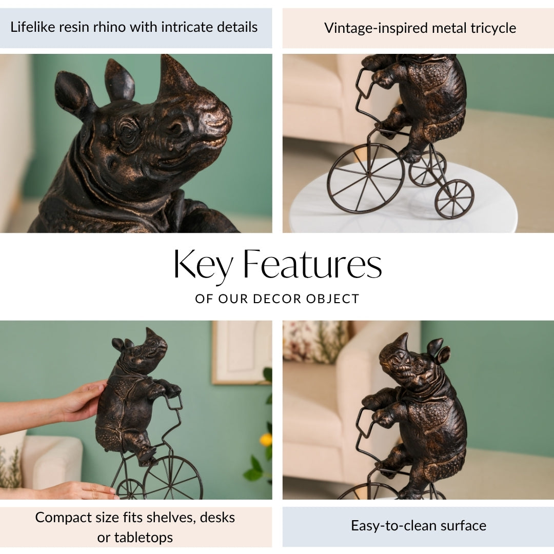 Cycling Rhino Art