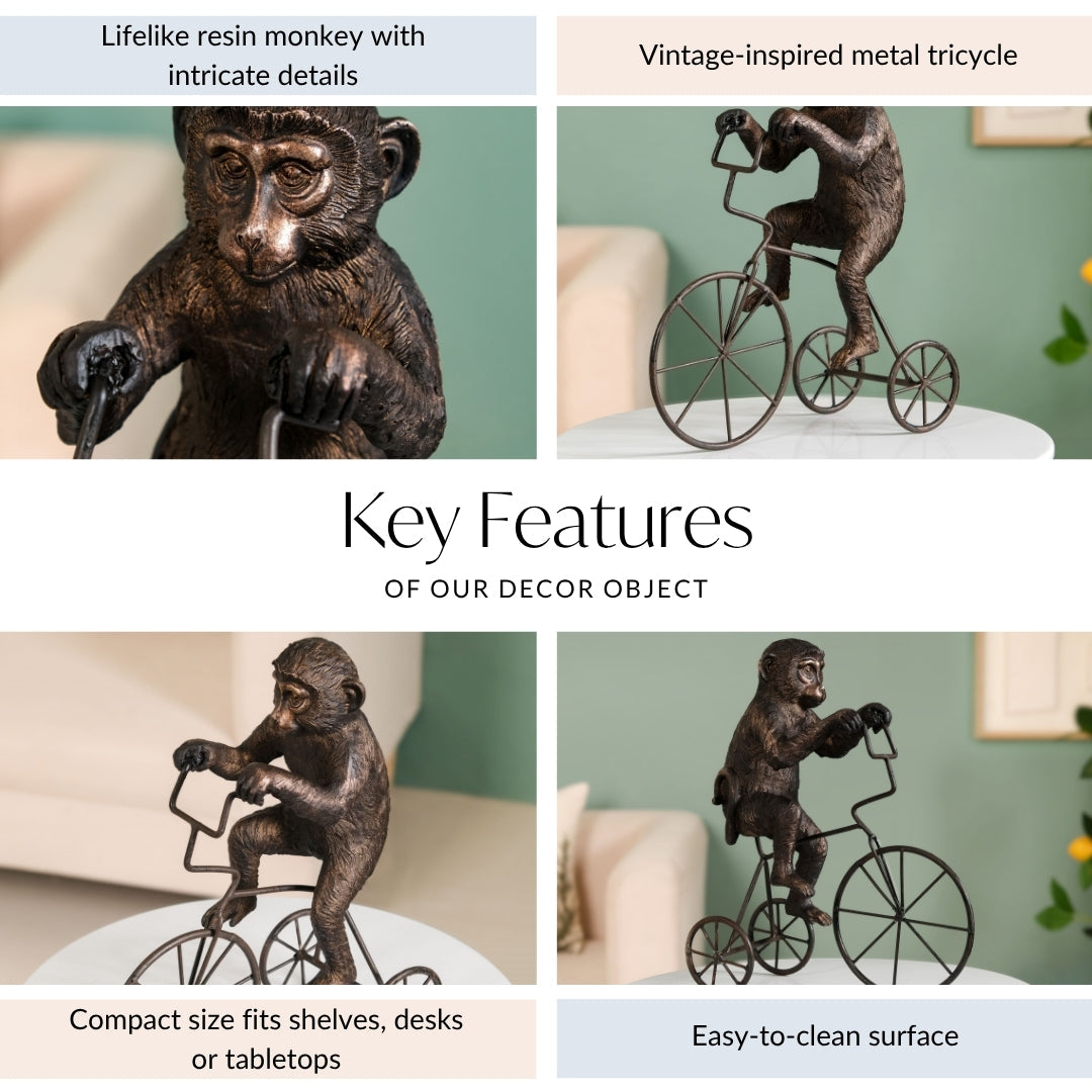 Cyclist Monkey Decorative Art
