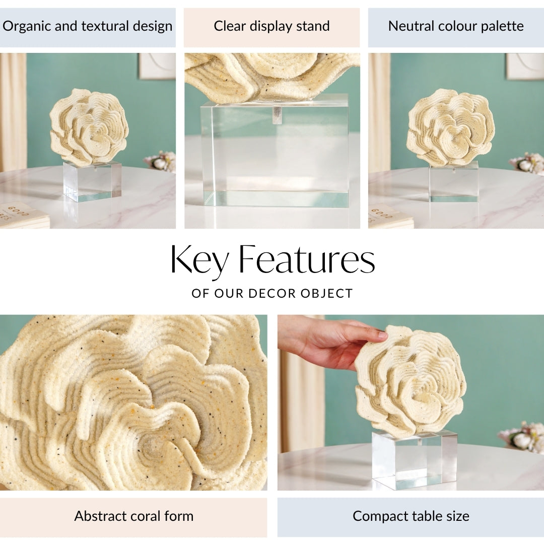 Coral Reef Decor