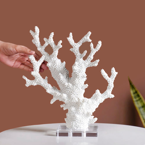 Coral Reef Coffee Table Decor