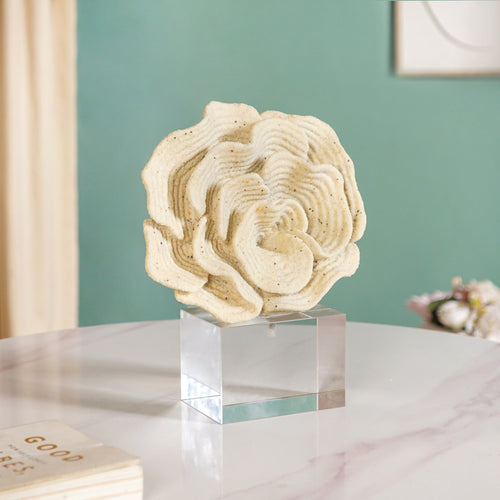 Coral Reef Decor