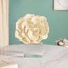 Coral Reef Decor