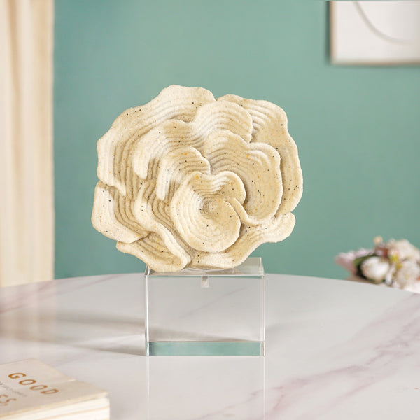 Coral Reef Decor
