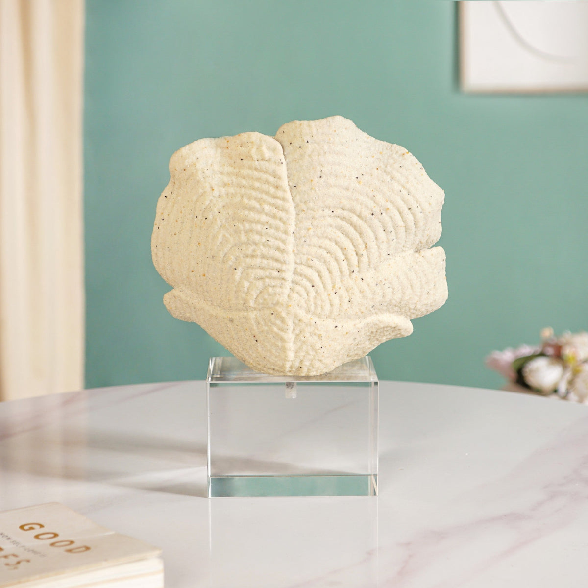 Coral Reef Decor