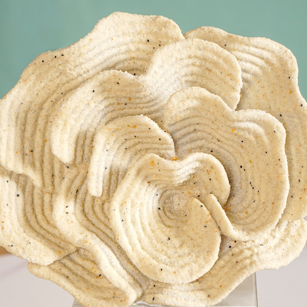 Coral Reef Decor