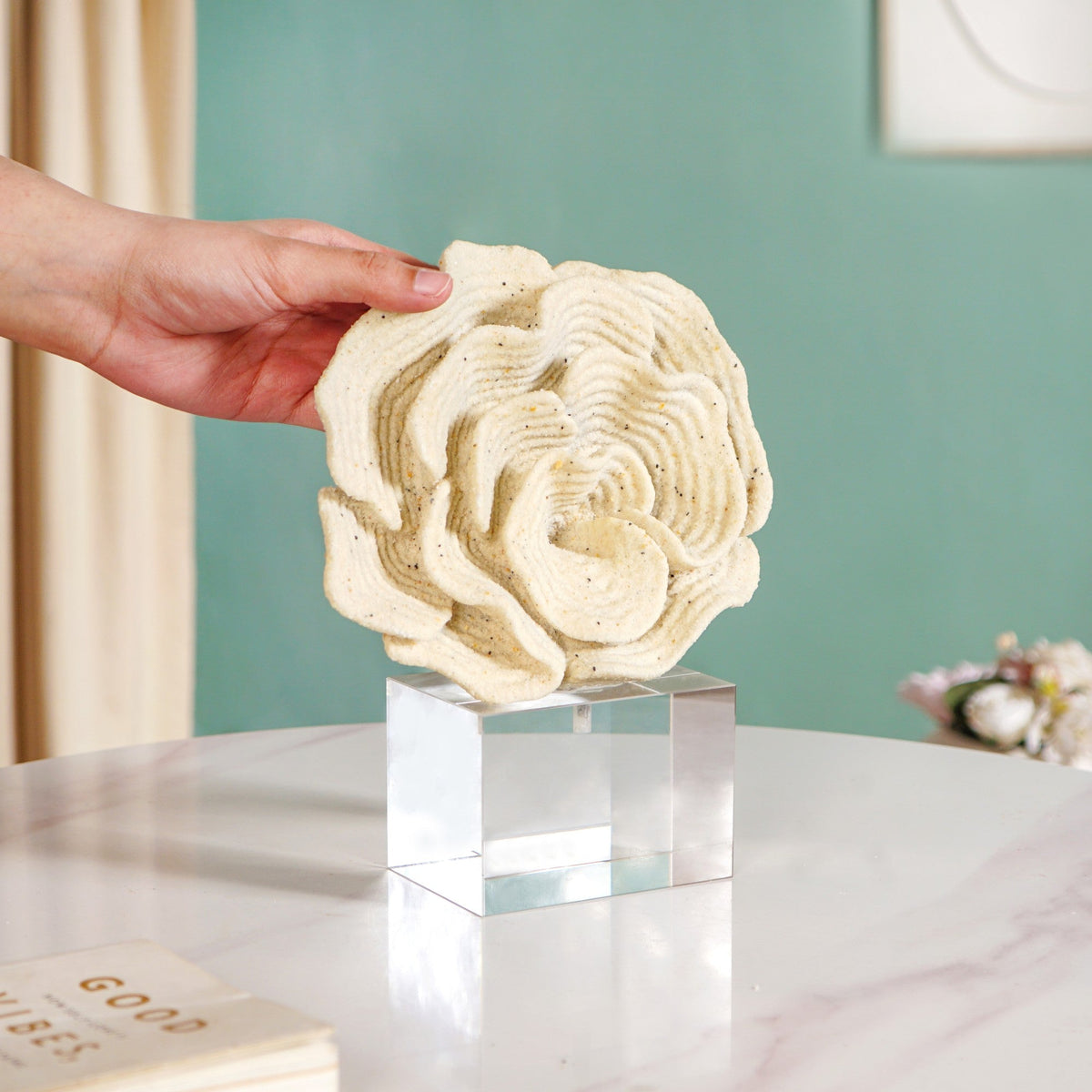 Coral Reef Decor