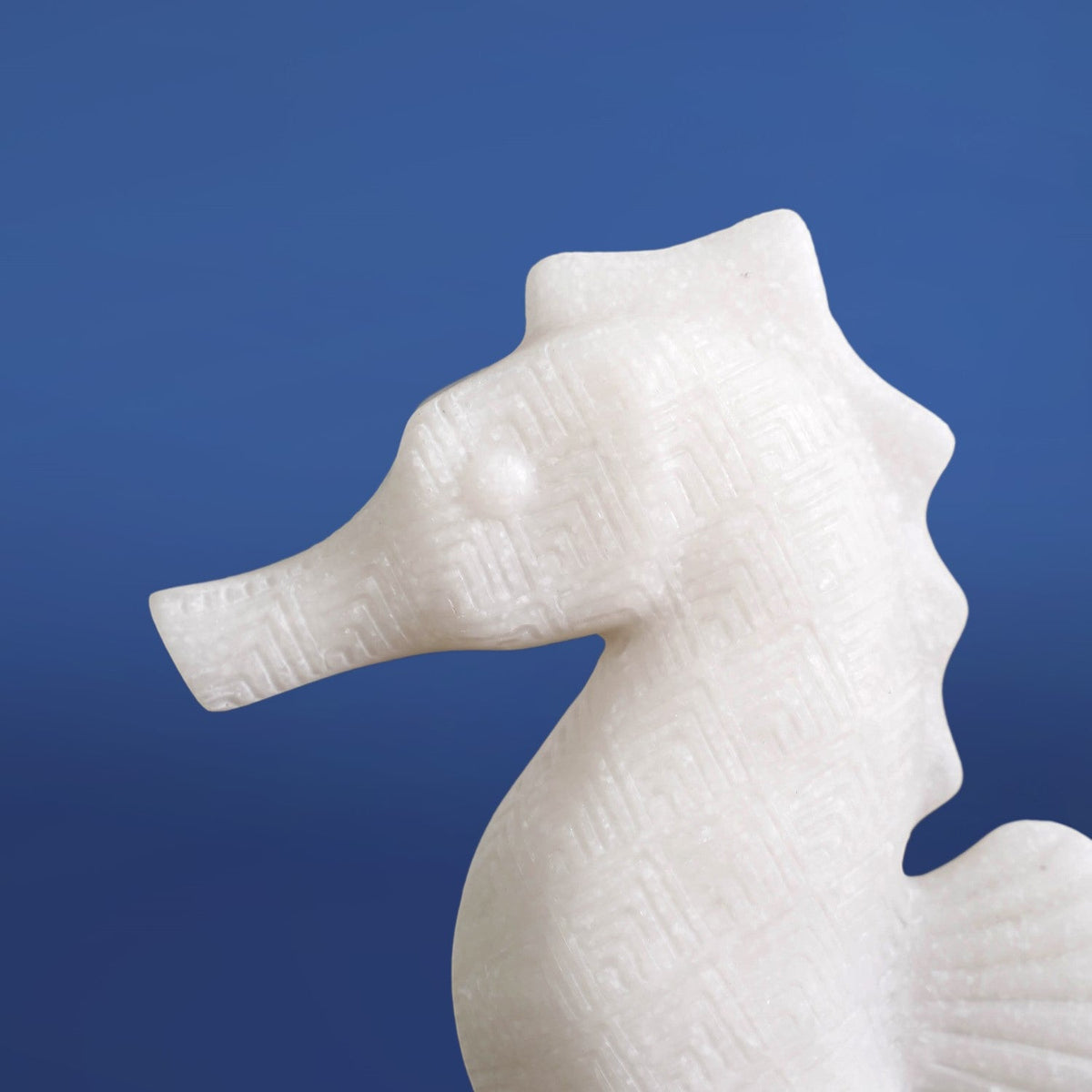 Seahorse Sculpture Short
